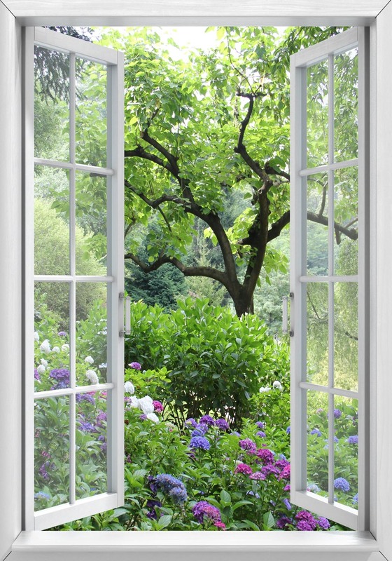 Raam naar tuin 70x100CM