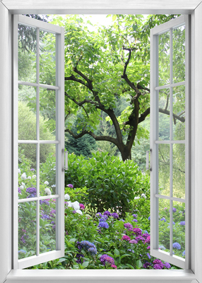 Raam naar tuin 50x70CM