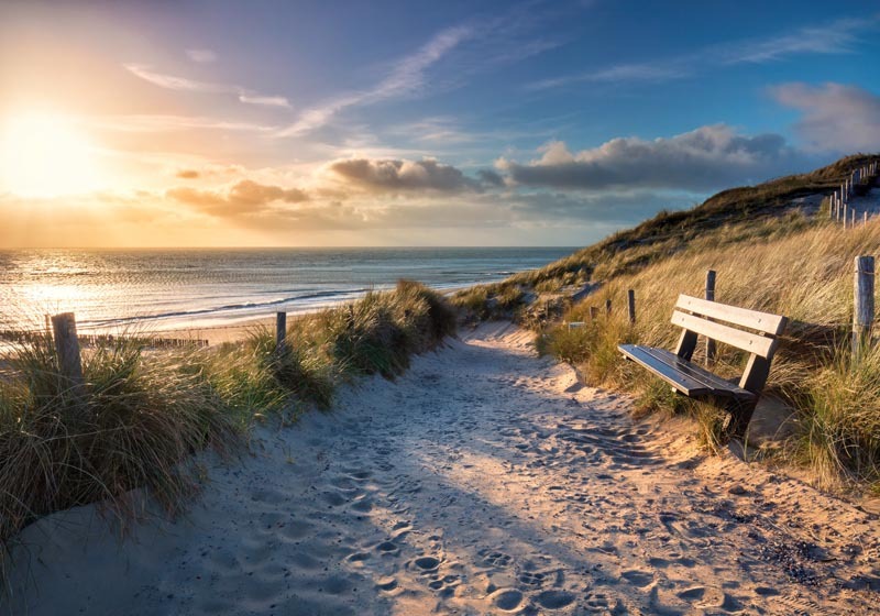 Bankje op duinpad 100x70CM